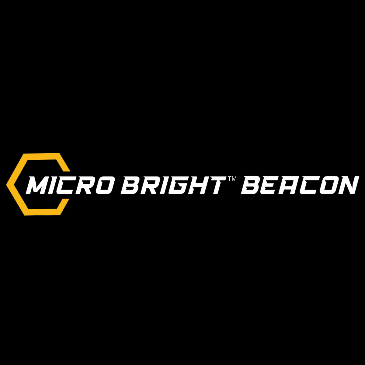 logo-Micro Bright